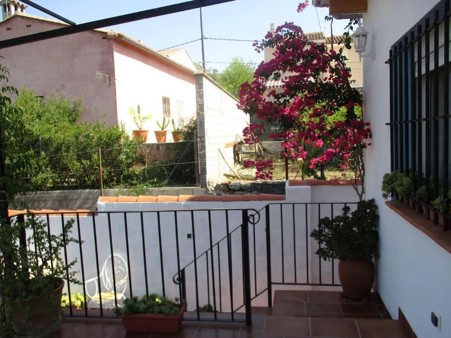 Casa La Higuera Villa Chulilla Kültér fotó