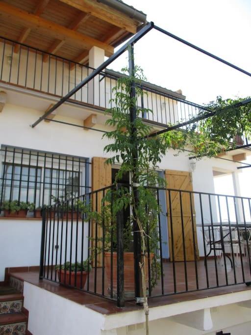 Casa La Higuera Villa Chulilla Kültér fotó