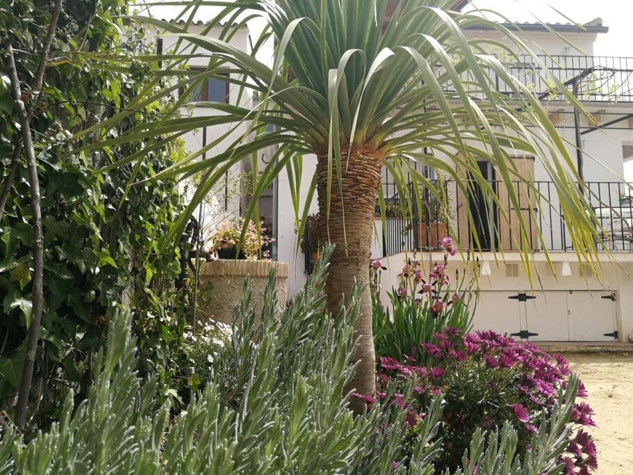 Casa La Higuera Villa Chulilla Kültér fotó