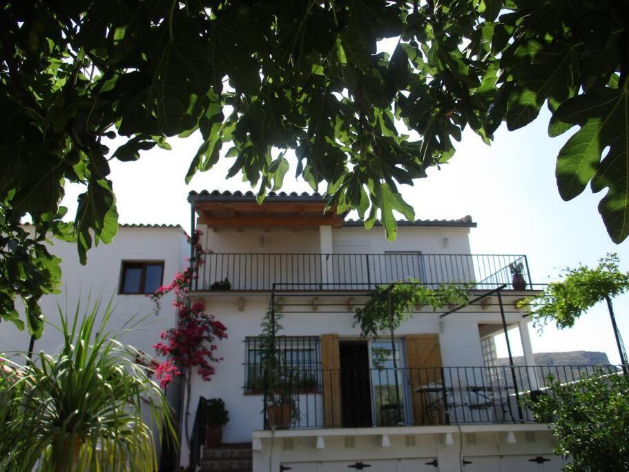 Casa La Higuera Villa Chulilla Kültér fotó