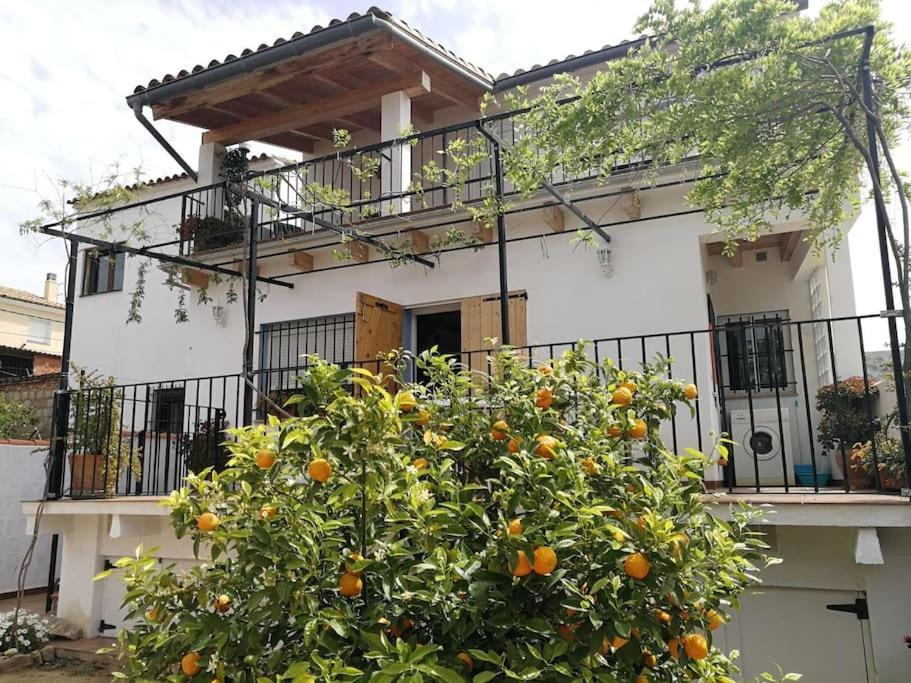 Casa La Higuera Villa Chulilla Kültér fotó